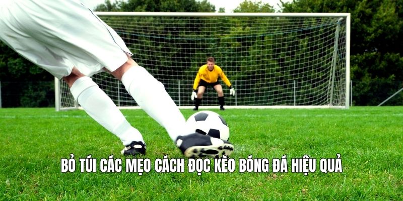 Bỏ túi các mẹo cách đọc kèo bóng đá hiệu quả