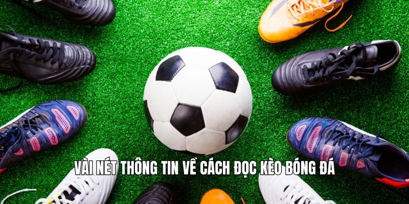 Vài nét thông tin về cách đọc kèo bóng đá
